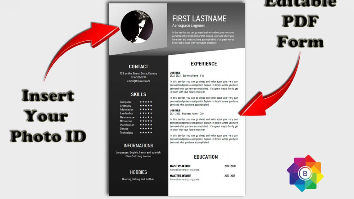 Blank CV Eleven – Editable PDF Form